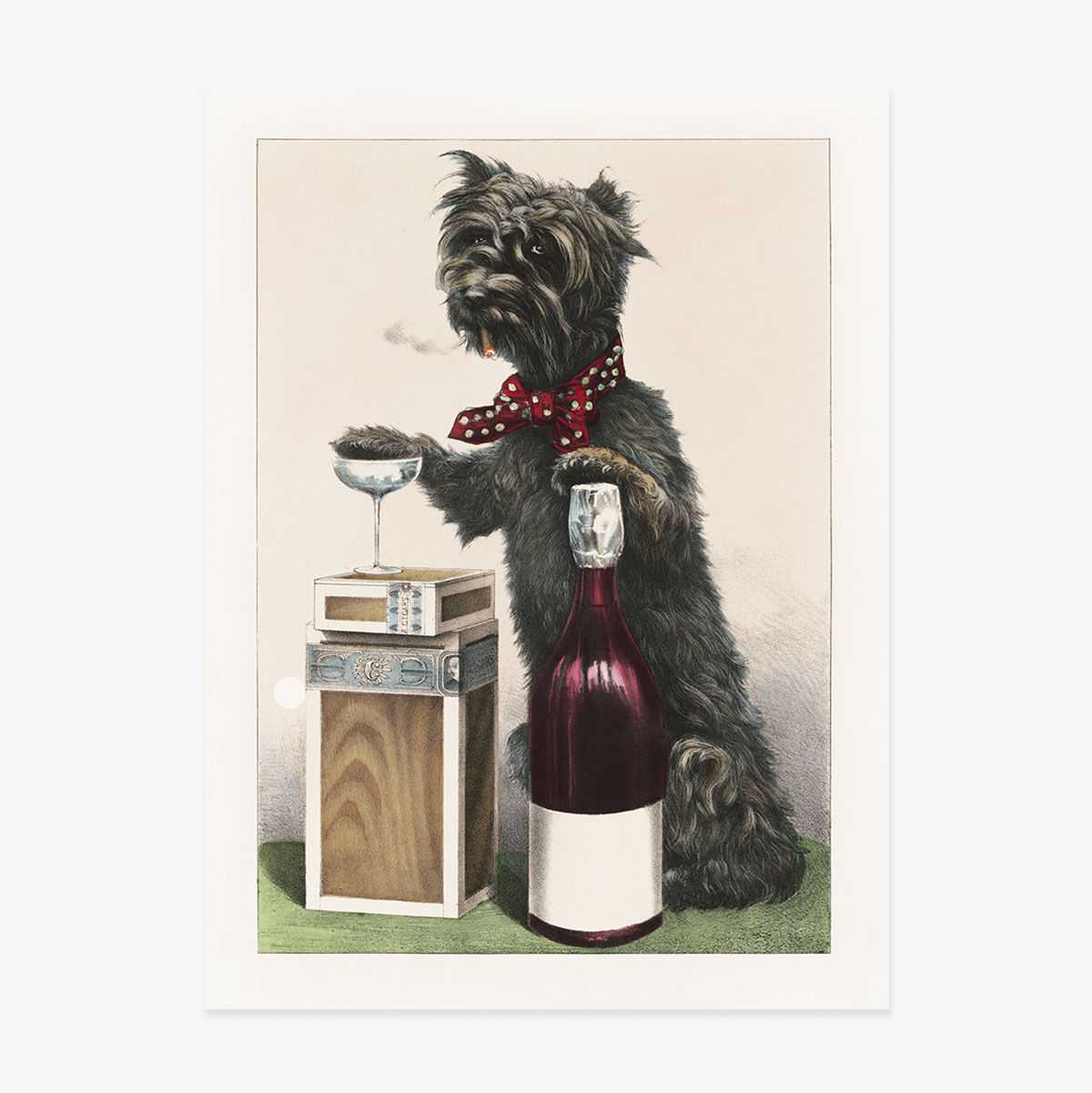 Poster Cățel vesel