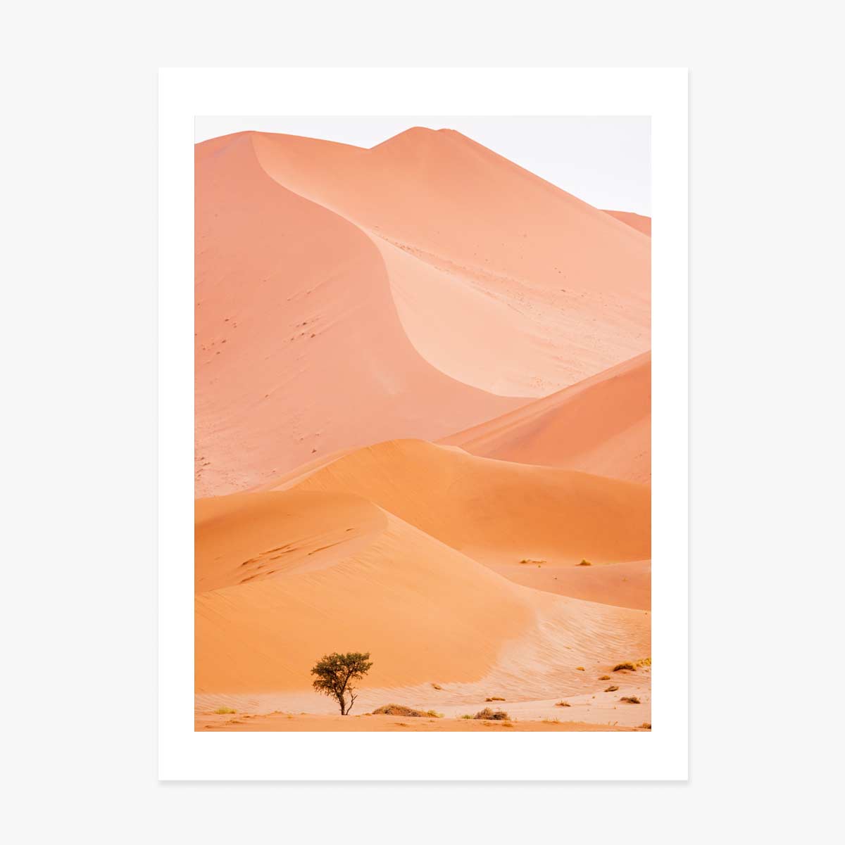 Poster Dunes 