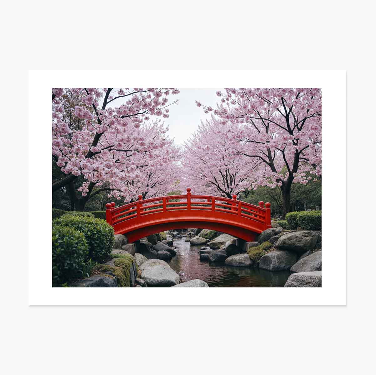 Poster Grădină Japoneză - Cireși înfloriți