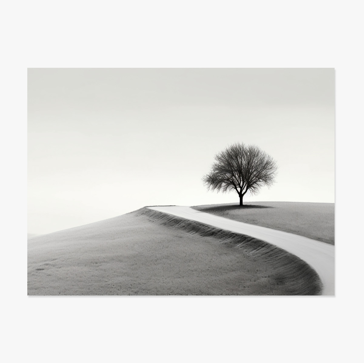 Poster landscape - Copacul solitar