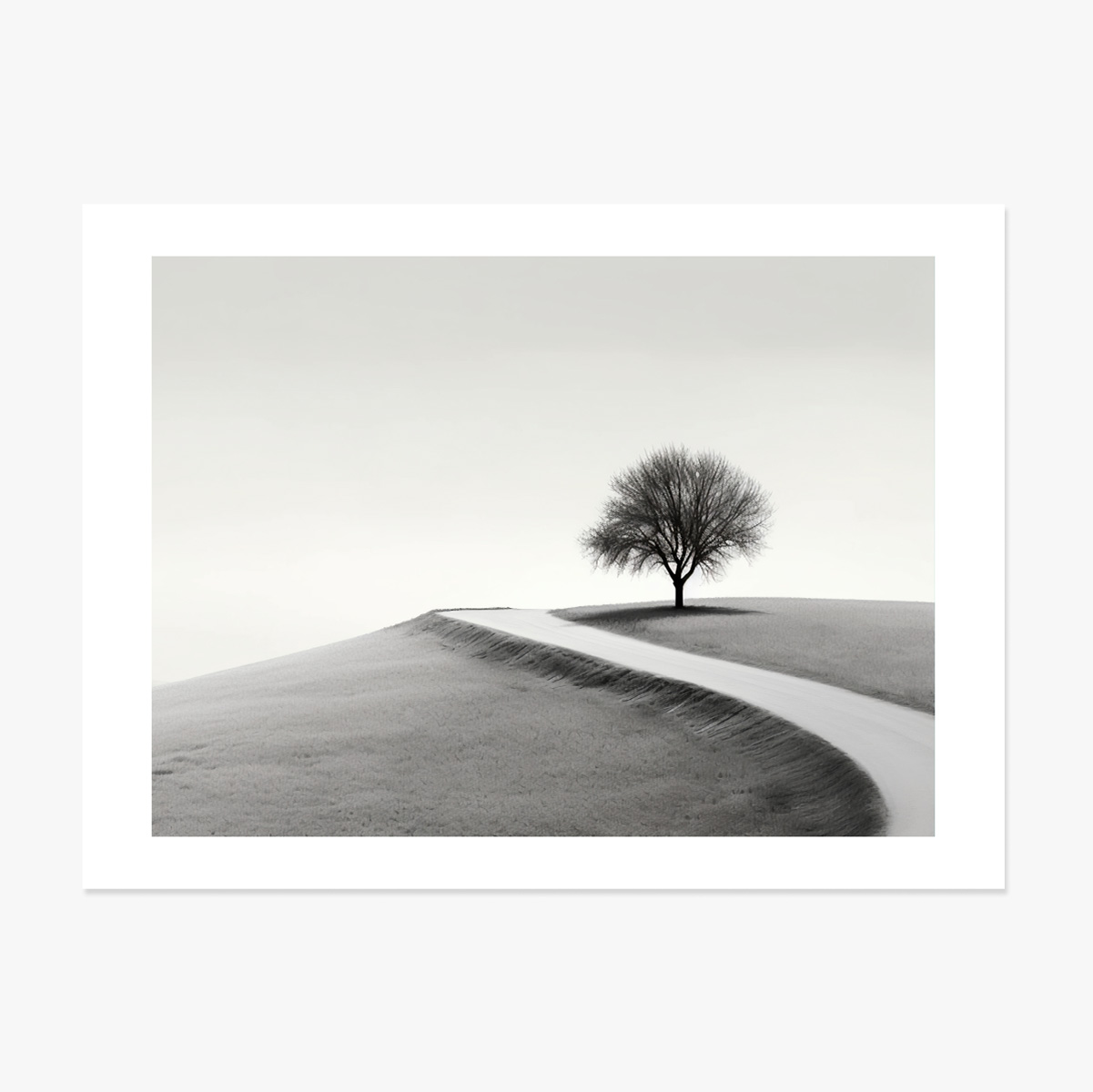 Poster landscape - Copacul solitar