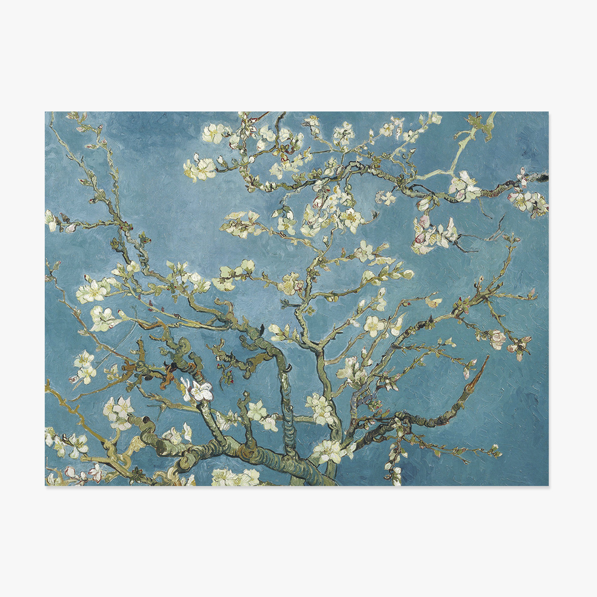 Poster landscape - Vincent Van Gogh - Ramuri de migdal înflorit 1890