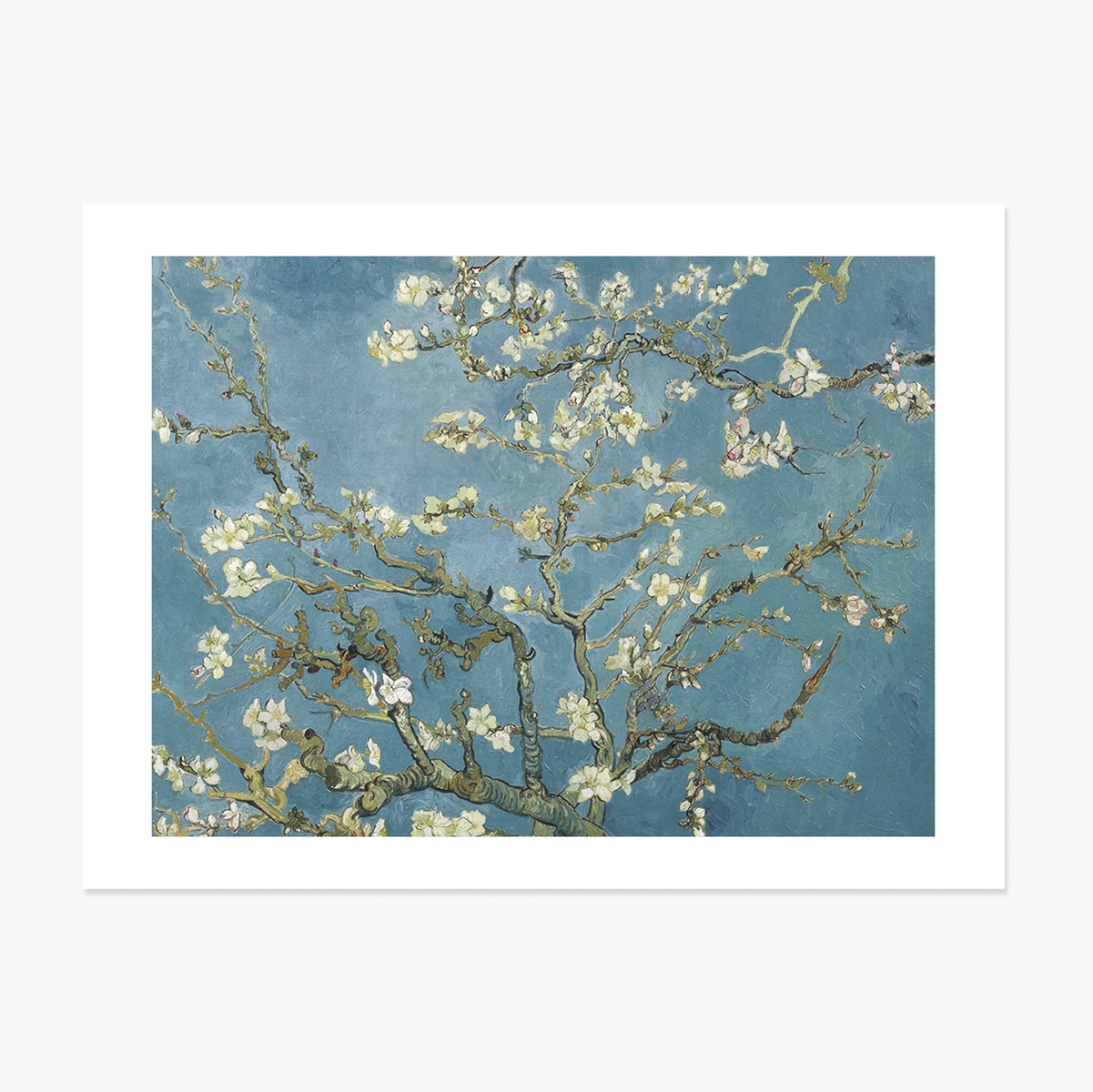Poster landscape - Vincent Van Gogh - Ramuri de migdal înflorit 1890