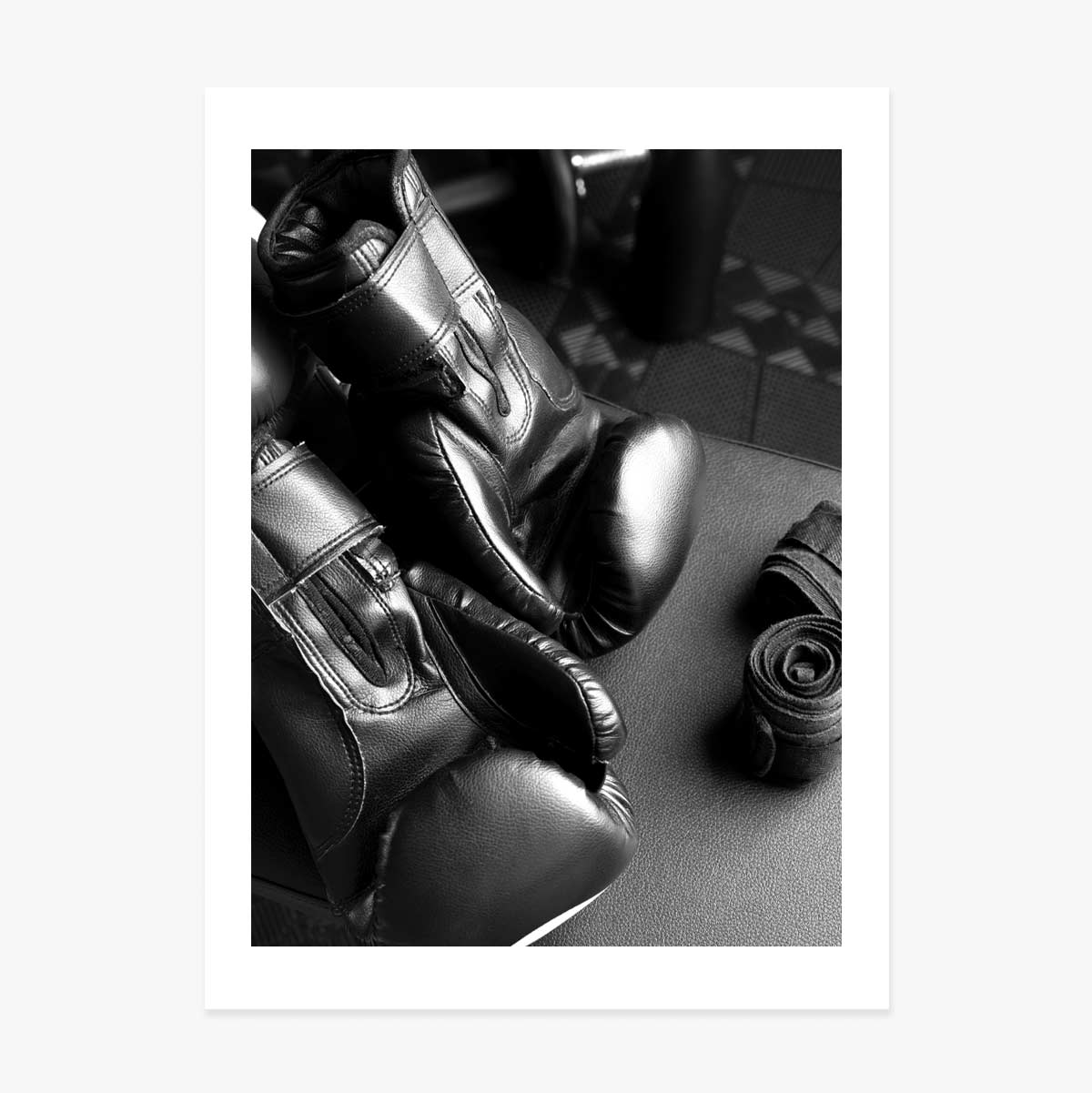 Poster Mănuși de Box