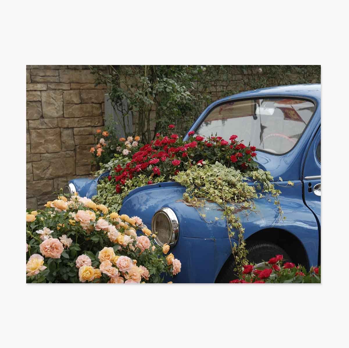 Poster Mașină albastra vintage cu flori