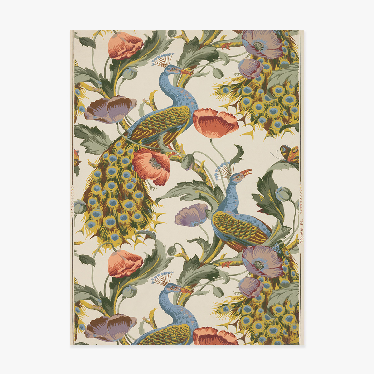 Poster Păuni și maci vintage