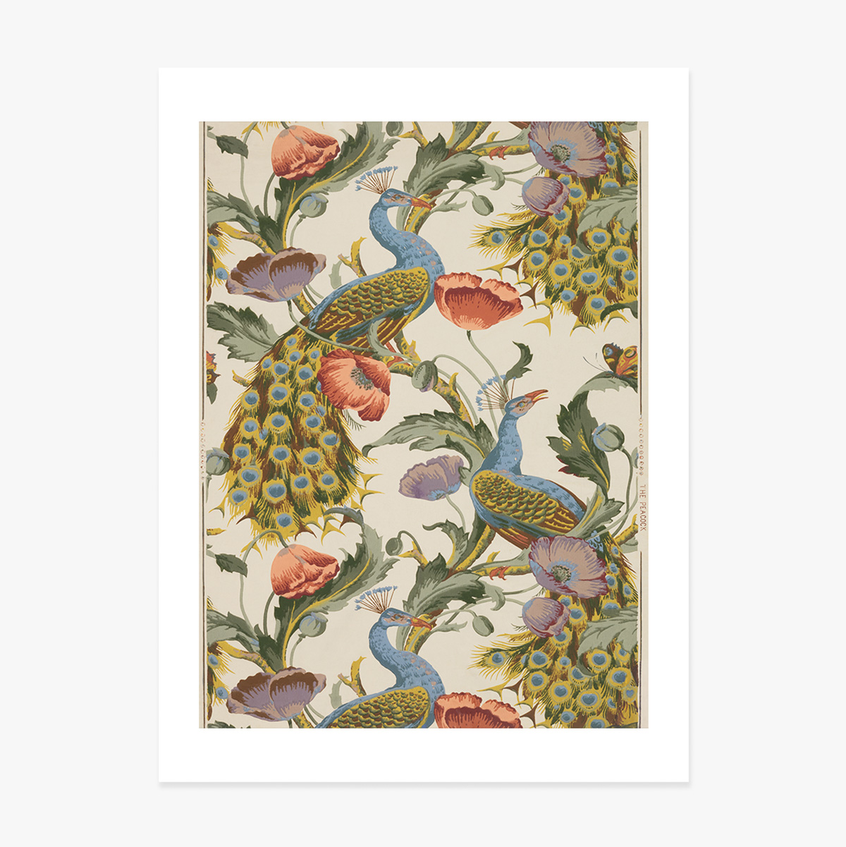 Poster Păuni și maci vintage