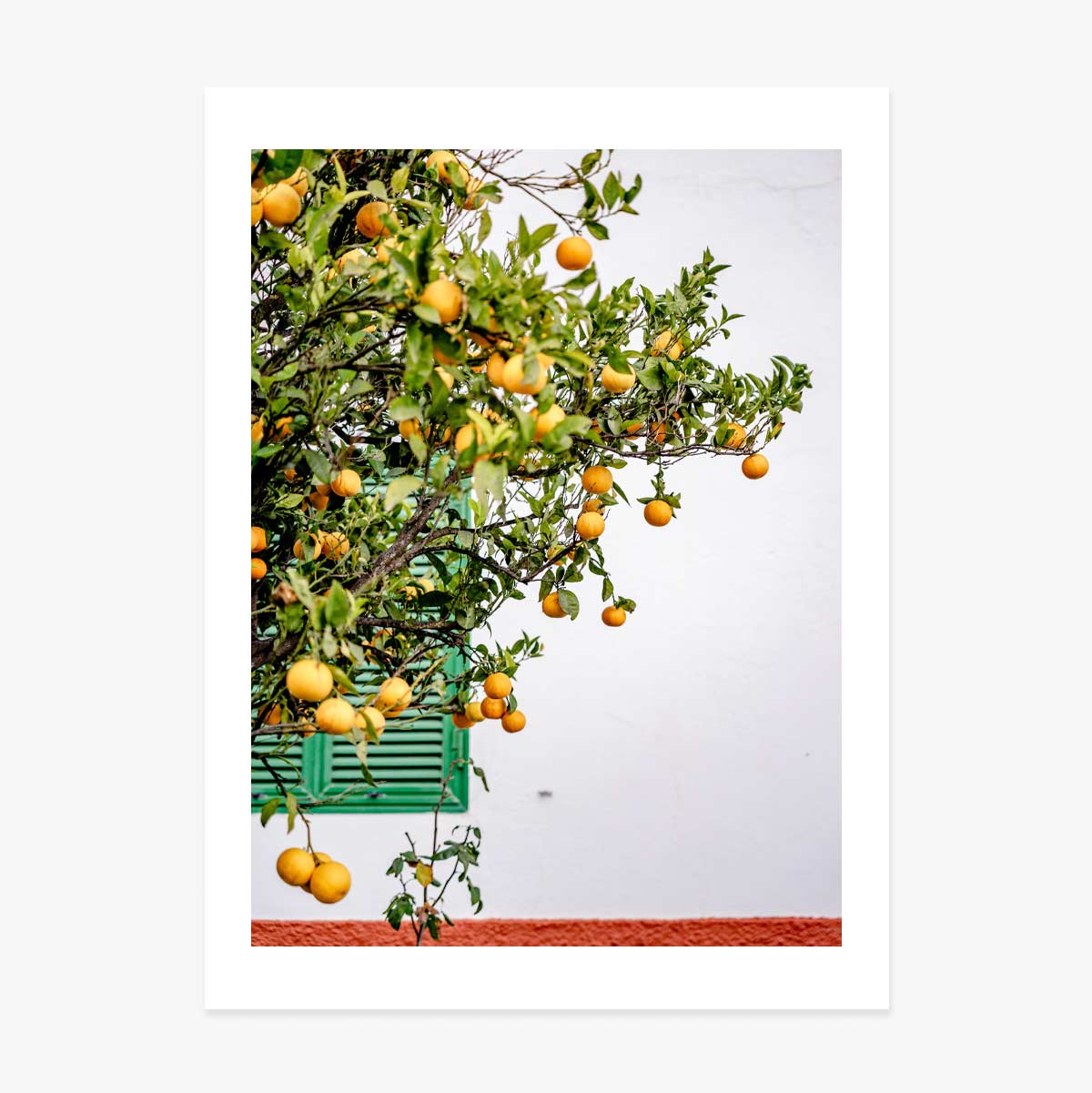 Poster Tangerines