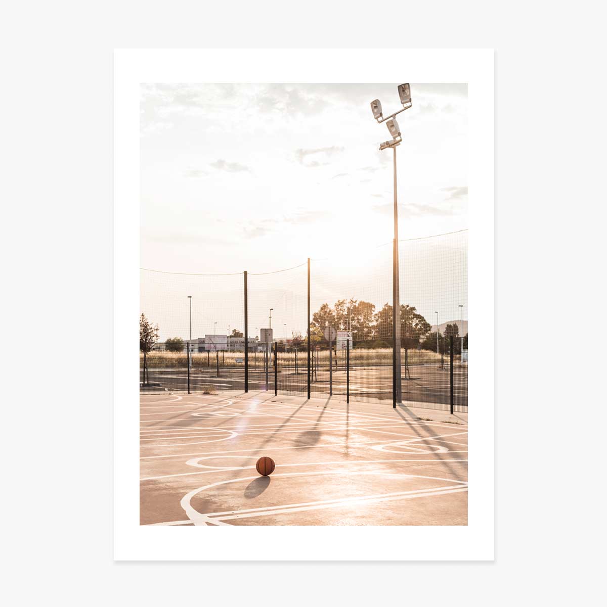 Poster Teren de Baschet