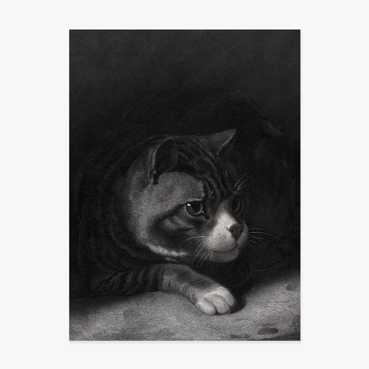 Плакат Уилям Гил, Бдителна котка, наблюдаваща през сенките, 1855 г.