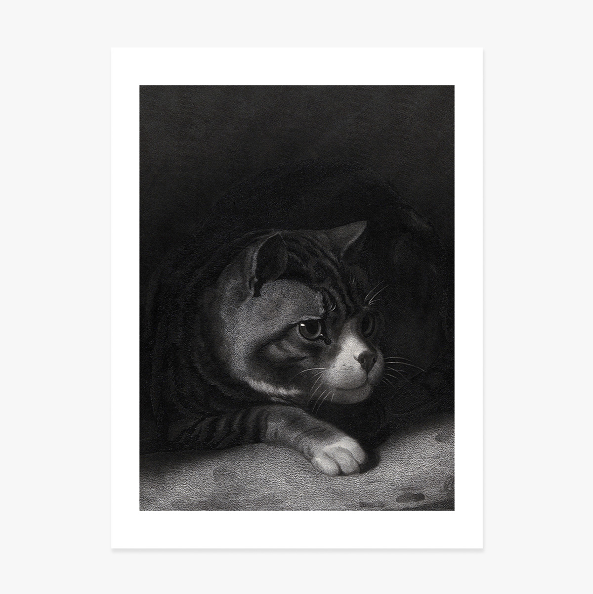 Poster William Gil, Pisică vigilentă privind prin umbre 1855